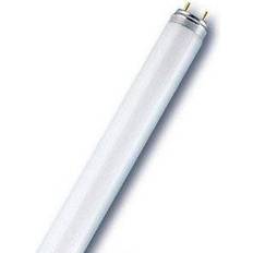 Lysrör 1200mm 36w Osram L Fluorescent Lamp 36W G13 60