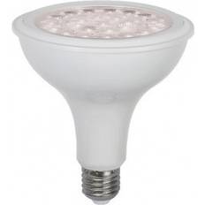 Led plantelys Star Trading 357-33 LEWD Lamp 13W E27