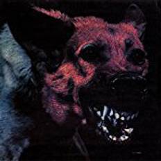 Protomartyr - Under Color Of Official Right (Vinyl)