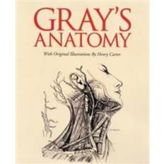 Gray's anatomy book Gray's Anatomy (Hardcover, 2013)