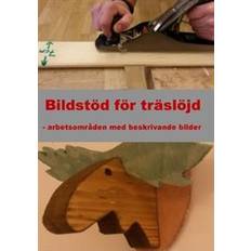 Bildstöd för träslöjd: arbetsområden med beskrivande bilder (Häftad)
