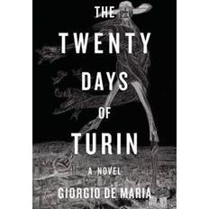 Turin twenty days of turin a novel (Hardcover, 2017)