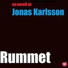 Rummet Rummet (Ljudbok, 2013)