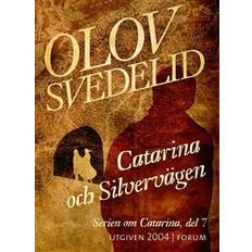 Silvervägen Catarina och Silvervägen: En historisk roman (E-bok)