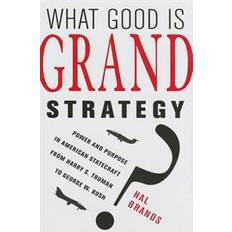 What Good Is Grand Strategy? (Hardcover, 2014)