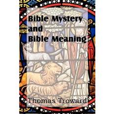 Bible Bible Mystery and Bible Meaning (Broché, 2012)