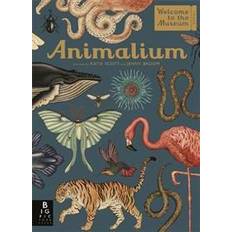 Animalium Animalium (Inbunden, 2017)