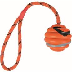 Hundar - Hundkoppel - Hundleksaker Husdjur Trixie Wavy Ball on a Rope