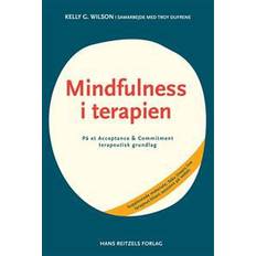 Bøger Mindfulness i terapien: på et acceptance & commitment-terapeutisk grundlag (Hæftet, 2011)