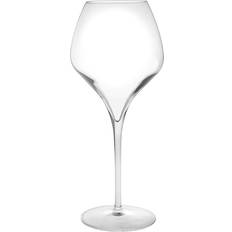 Luigi Bormioli Magnifico Goblets Red Wine Glass, White Wine Glass 65cl 6pcs