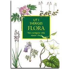 Ut i Sveriges flora: våra vanligaste vilda växter (Häftad, 2017)