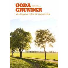 Goda grunder vardagssvenska för nyanlända (Häftad)
