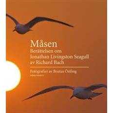 Måsen: berättelsen om Jonathan Livingston Seagull (Indbundet)