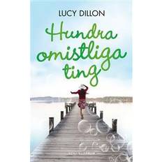 Hundra omistliga ting (E-bok)