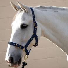 Turquoise Halters & Lead Ropes Hy Equestrian Holly Fully Adjustable