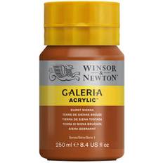 Winsor & Newton Galeria Acrylic Burnt Sienna 250ml