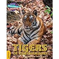 Bücher Tigers of Ranthambore Gold Band (Cambridge Reading Adventures) (Geheftet)