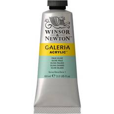 Winsor & Newton Acrylic Paints Winsor & Newton Galeria Acrylic Pale Olive 60ml