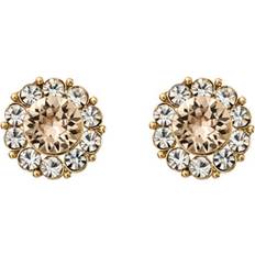 Lily and Rose Miss Sofia Earrings - Gold/Light Silk