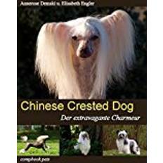 Crested CHINESE CRESTED DOG