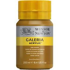Winsor & Newton Gallery Acrylic Raw Sienna 250ml