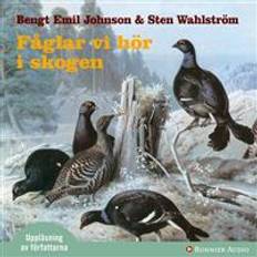 Naturvetenskap & Teknik Ljudböcker Fåglar vi hör i skogen: dygnet runt i skogen (Ljudbok, MP3, 2008)