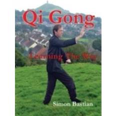 Qi Gong (Paperback, 2013)