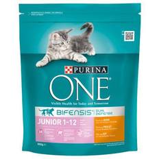 Purina Junior with Chicken
