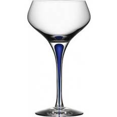 Orrefors Intermezzo Champagne Glass 29cl