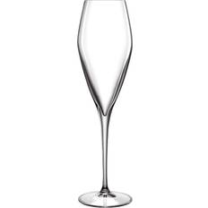 Luigi Bormioli Prosecco Champagne Glass 27cl 2pcs