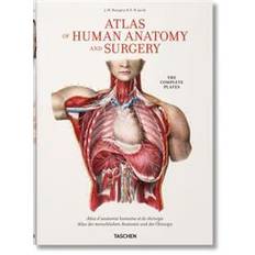 Atlas of human anatomy Bourgery: Atlas of Human Anatomy and Surgery (Indbundet, 2017)