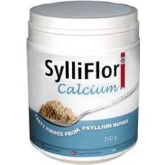 Sylliflor calcium Biodane Pharma SylliFlor Calcium 250g