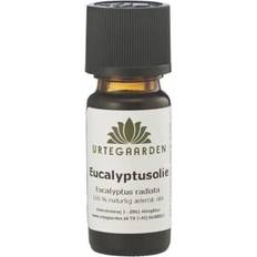 Eucalyptusolie 10ml