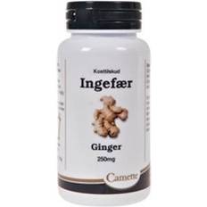 Ingefær