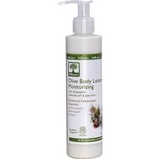 Oliven Body Lotion