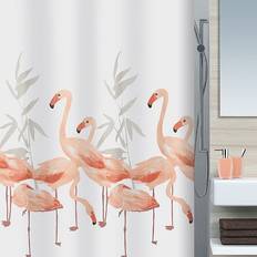 Flamingo (10.16355)