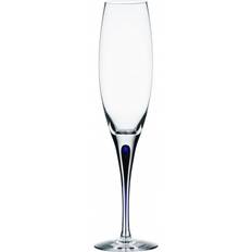 Orrefors Intermezzo Champagneglass 26cl