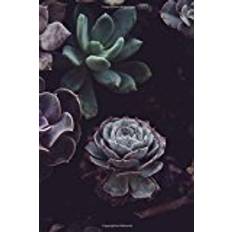 Succulents Succulents Notebook