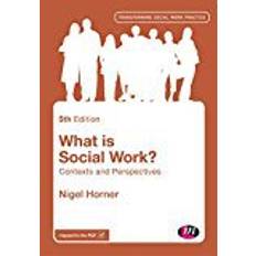 What is Social Work?: Contexts and Perspectives (Transforming Social Work Practice Series)