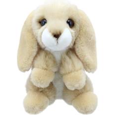Rabbit Lop Eared Wilberry Mini's