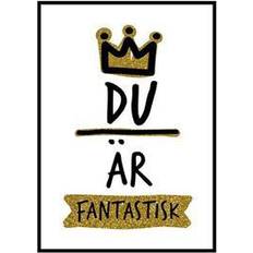 Böcker Du är fantastisk (Inbunden, 2018)