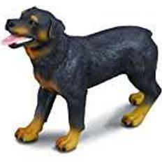 Collecta Rottweiler 88189