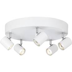 Cottex Spotlights Cottex Alpha Spotlight