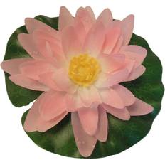 Floating Water Lily