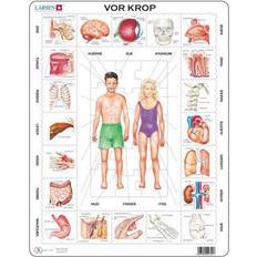 Our Body 35 Bitar