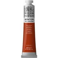 Rosso Pitture ad Olio Winsor & Newton Winton Oil Color Burnt Sienna 74 200ml