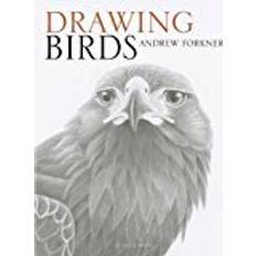 Drawing Birds