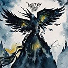 Religiös musik Vinyl Insect Ark - Marrow Hymns (Vinyl)
