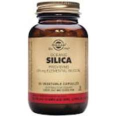 Sugarfree Vitamins & Minerals Solgar Oceanic Silica 25mg 50 pcs