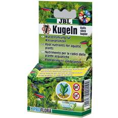 Root Fertilizer for Freshwater Aquariums